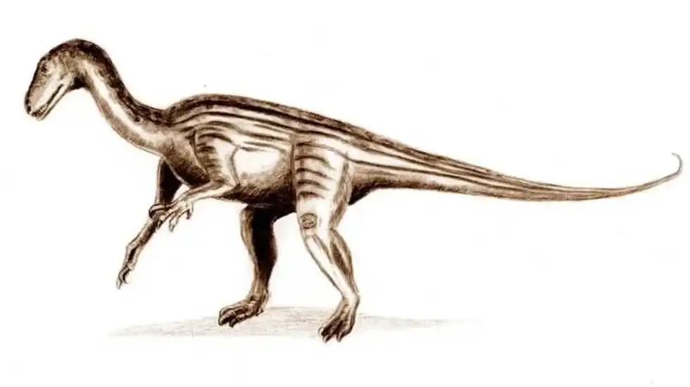 Thecodontosaurus facts are an interesting way to keep your kids busy as well as educated.