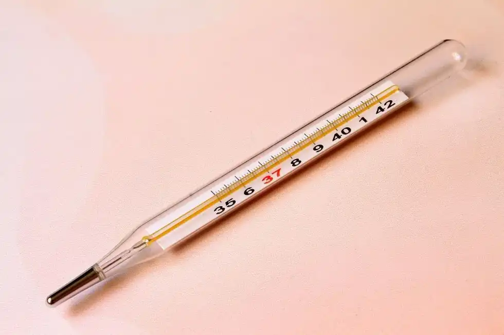 There are different types of thermometers that do the same thing. Learn some interesting thermometer facts below.