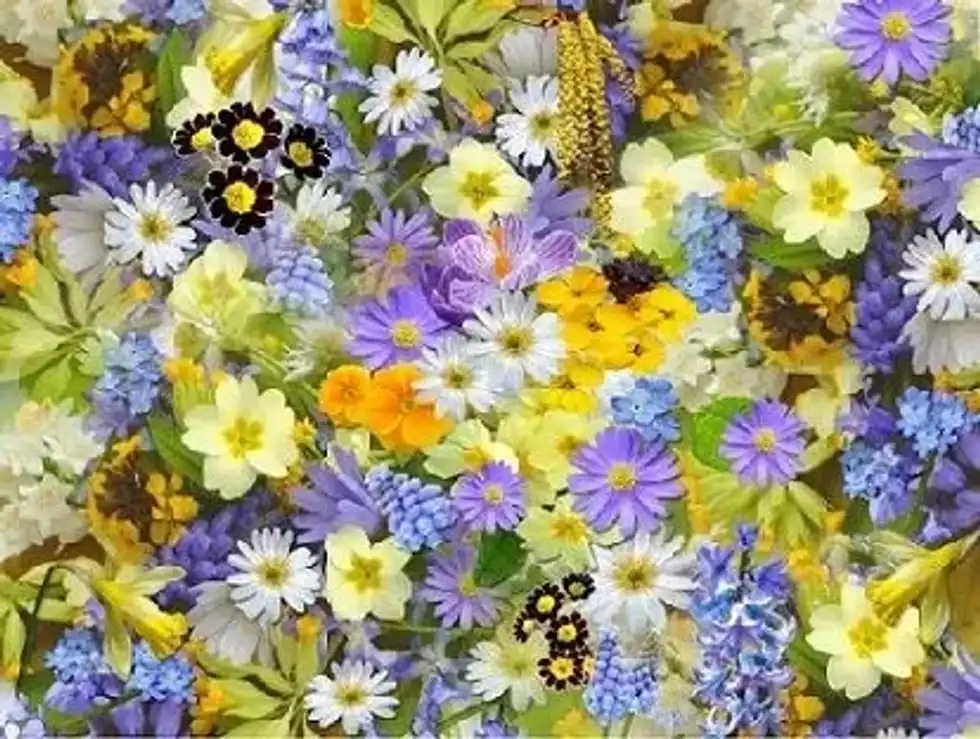 There are over 400,000 species of flowers around the world, and more which have not yet been discovered!