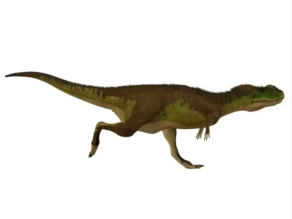 There are so many fun and interesting Rugops facts. Read on to know everything about this creature and share ahead with your friends!
