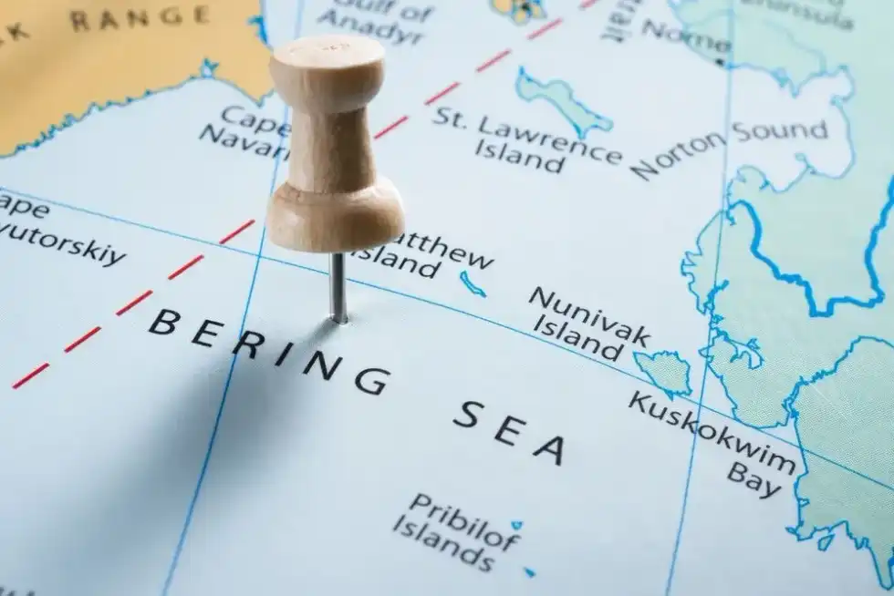 There are various unknown Vitus Bering facts even today as Bering passed away in a shipwreck while returning from his second expedition.