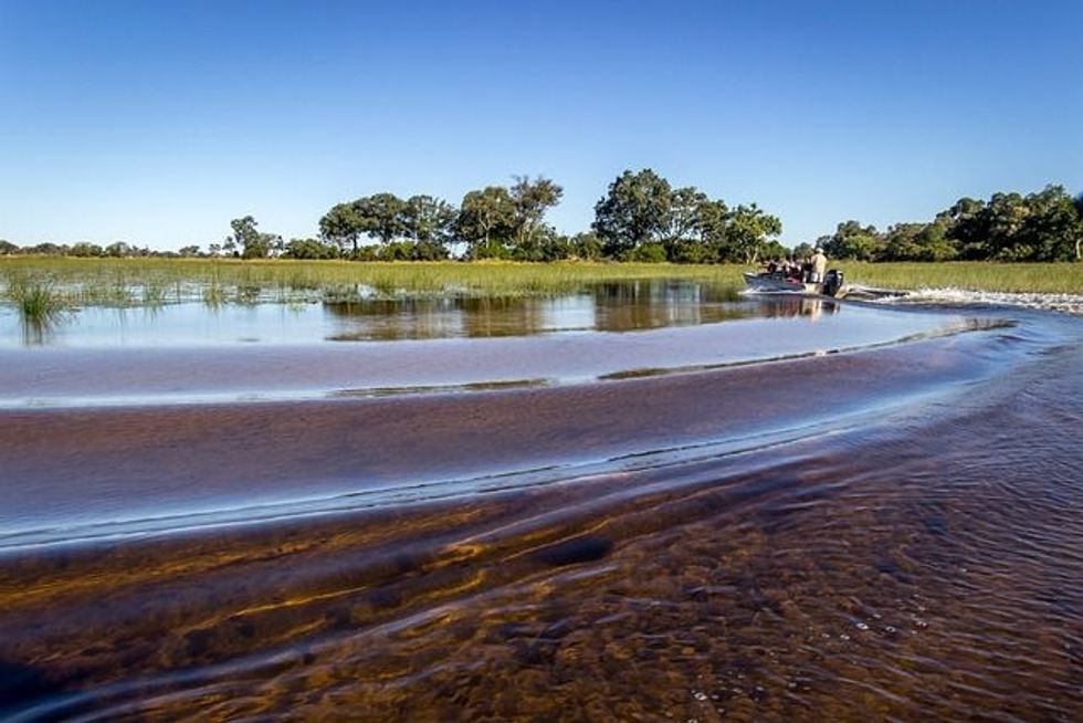 Botswana's Okavango Delta: One Of The Largest Inland Deltas 