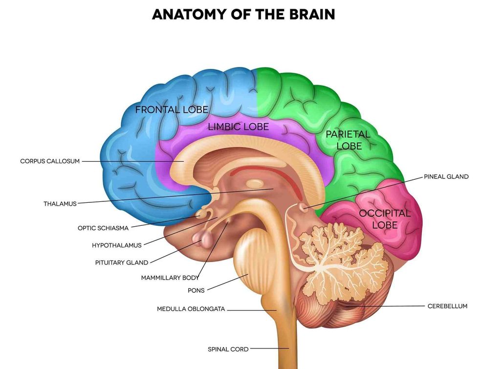 There is so much about your brain you don't know.