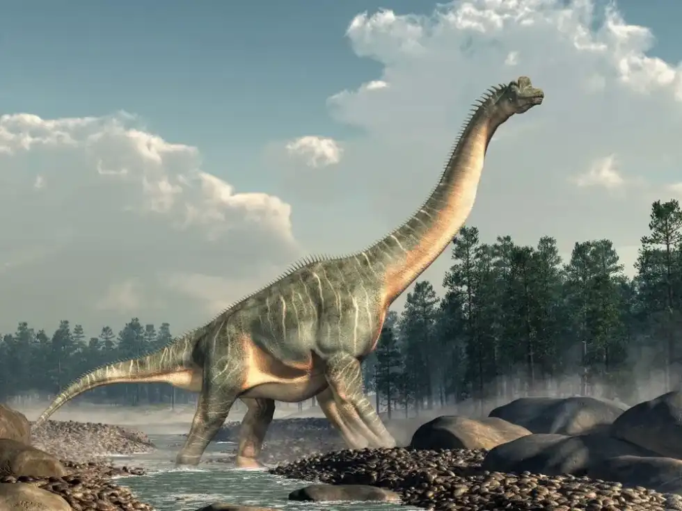 These Aepisaurus facts are popular among kids.