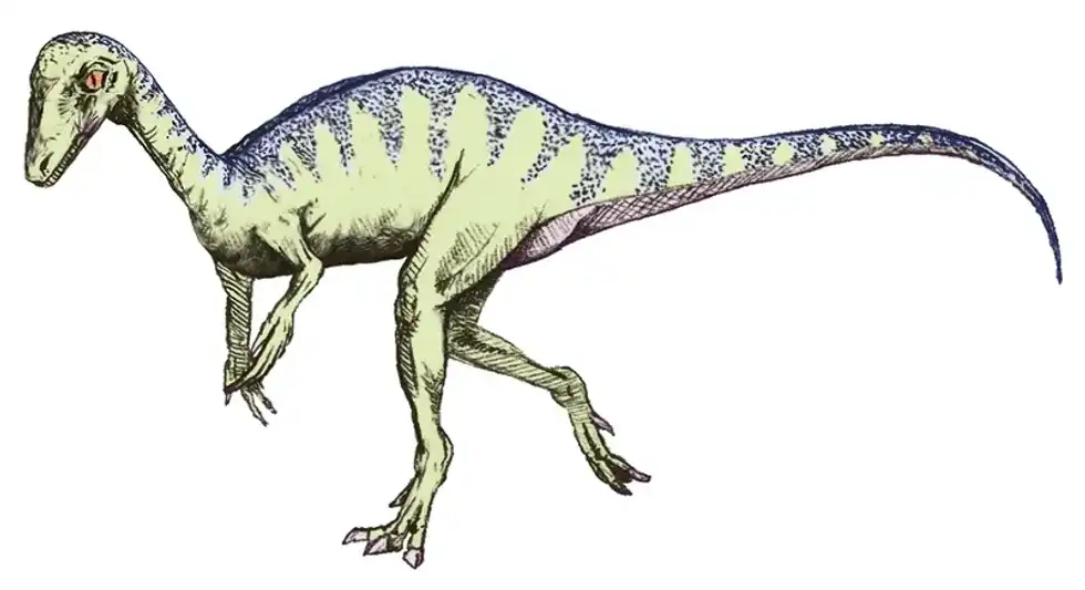 These Alwalkeria facts are about the dinosaur from the late Triassic period.
