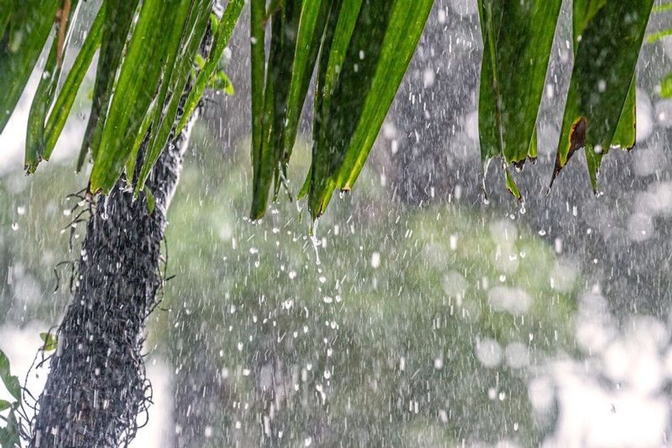 These amazing seasons of life quotes will leave you nostalgic.