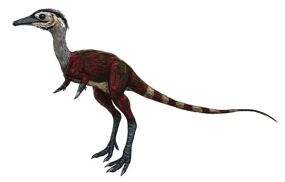 These amazing Shuvuuia facts will thrill you to the core.
