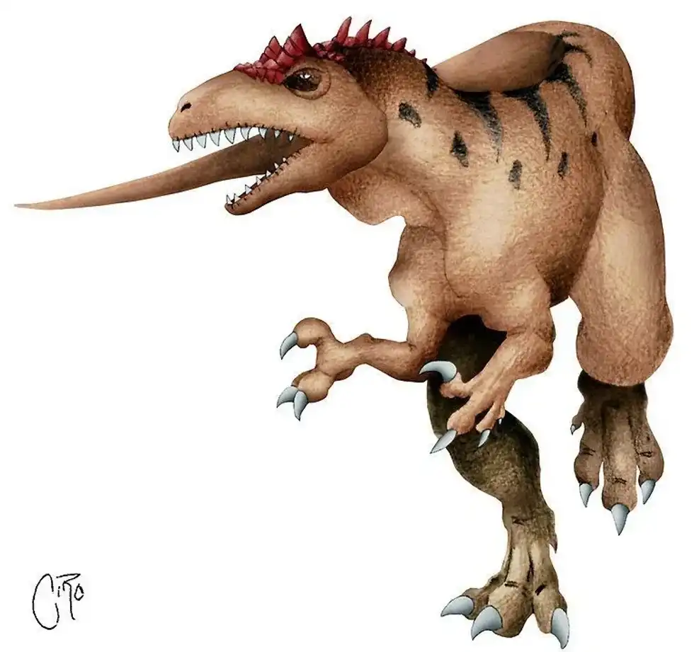These Chuandongocoelurus facts are interesting.