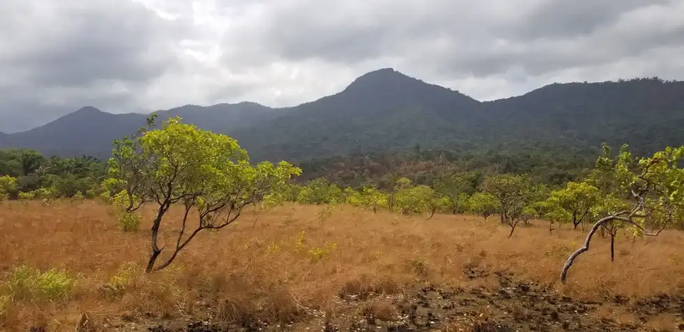 These facts about Guyana will surely blow your mind.
