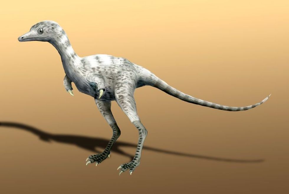 These facts about the Ceratonykus can help you learn a lot about small dinosaurs. 