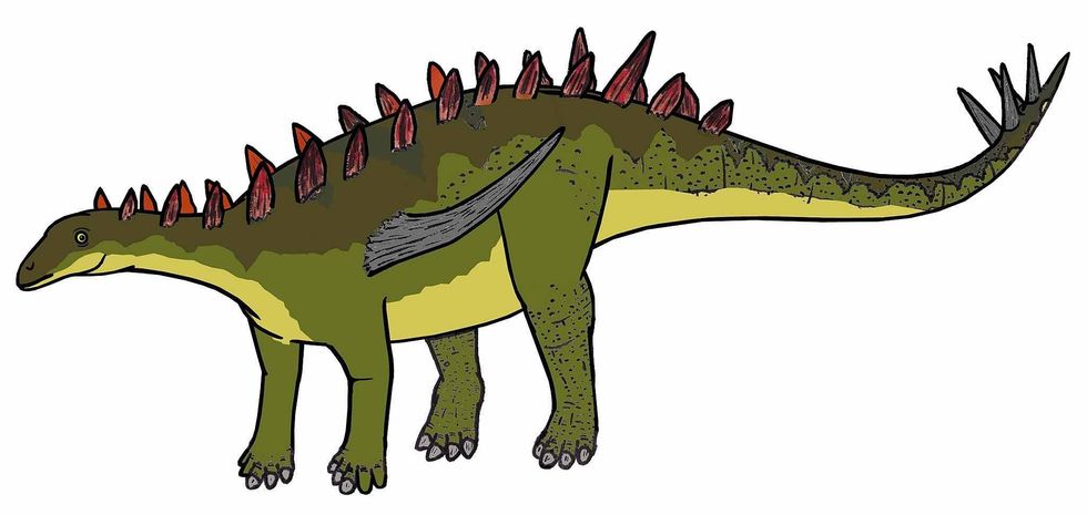 These giant spined lizards lived during the late Jurassic period