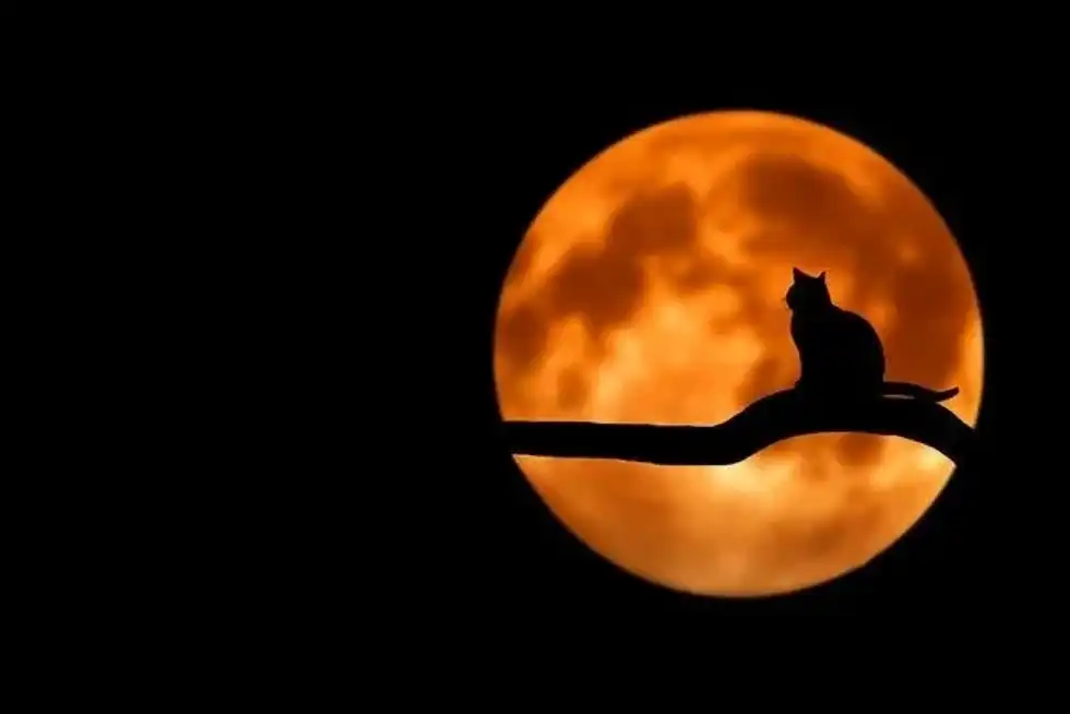 These Goodnight Moon facts will get you more interested in the captivating children's book.