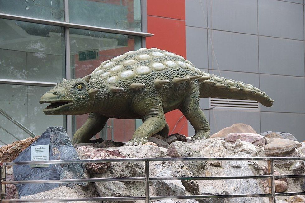 These Propanoplosaurus facts are interesting.
