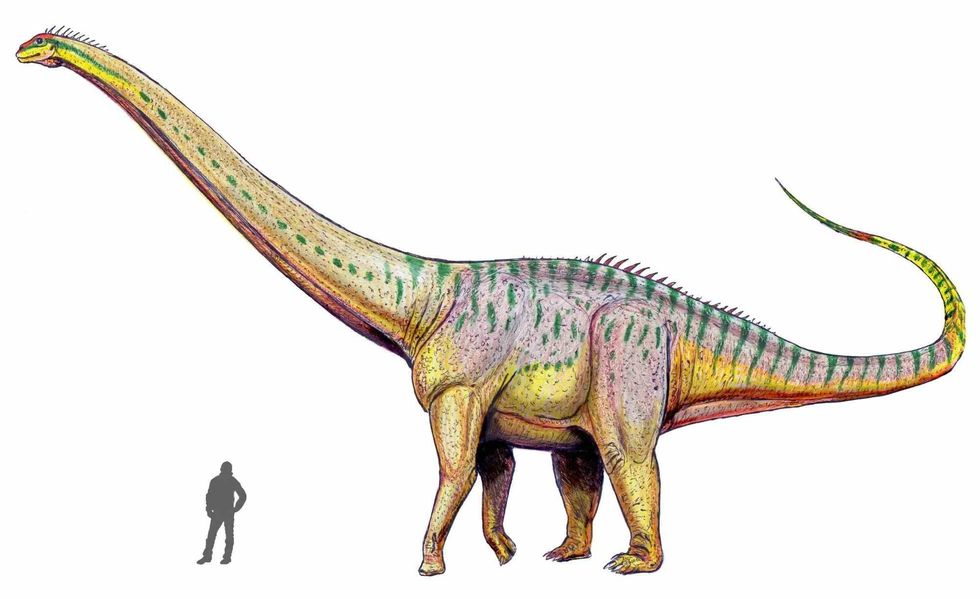 They were land roaming sauropod dinosaurs that ate plants