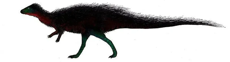 This dinosaur species was discovered in Middle Jurassic age rocks of England, continue reading to discover more amazing Callovosaurus facts.