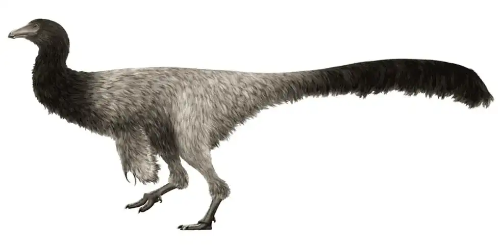 This large theropod has had several interpretations throughout history. Read on to discover more interesting Garudimimus facts.
