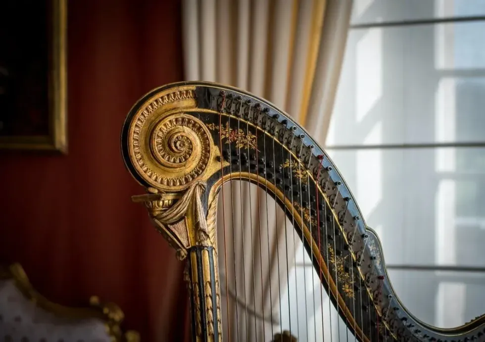 This timeless string instrument has elegance written all over it. Find out more about it with these harp facts!