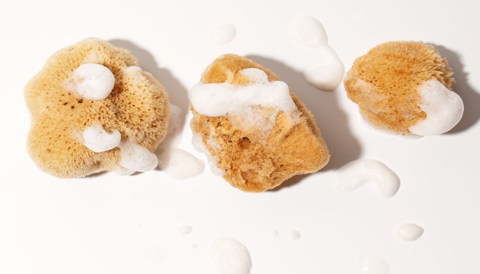 Three sea sponges with foam on white background.