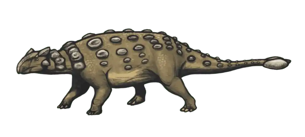 Thyreophora facts are extremely interesting to read.