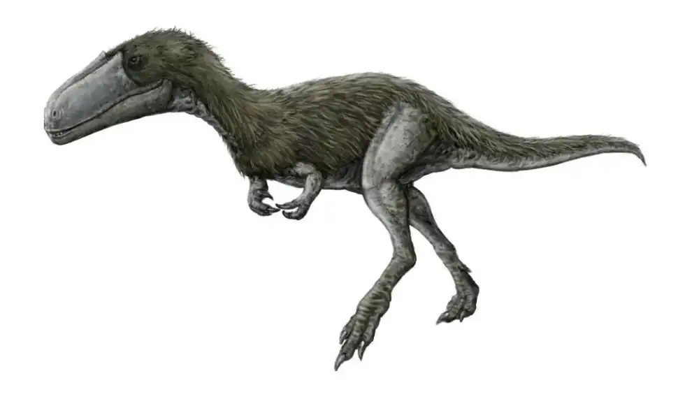 Timurlengia facts are great for kids in history and the history and evolution of dinosaurs in general.