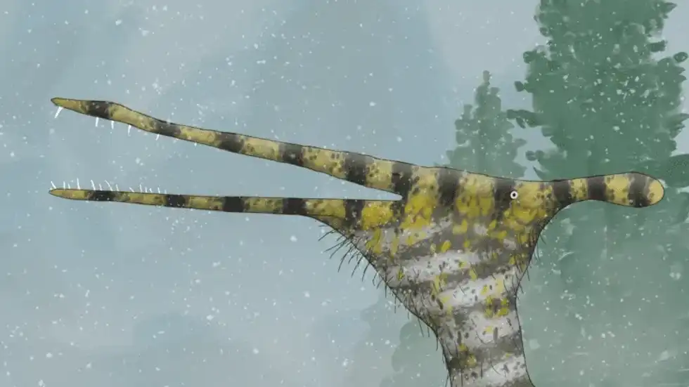 To explore more about this dinosaur, go through these Moganopterus facts.