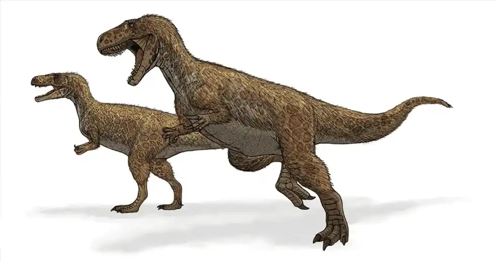 To explore this dinosaur, read these Bradycneme facts.