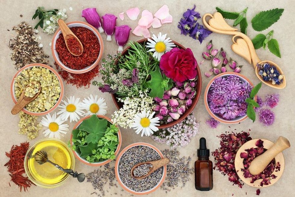 Top 66 best herbal quotes will help you understand the natural remedies better and pave the way for a happy life.