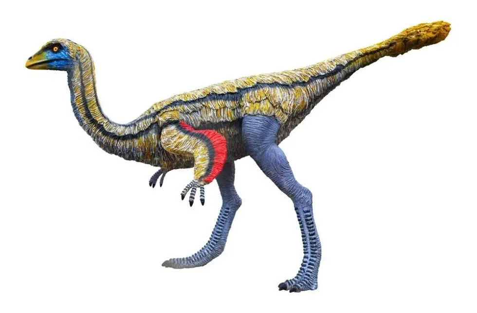 Tototlmimus facts are about the medium-sized dinosaur.