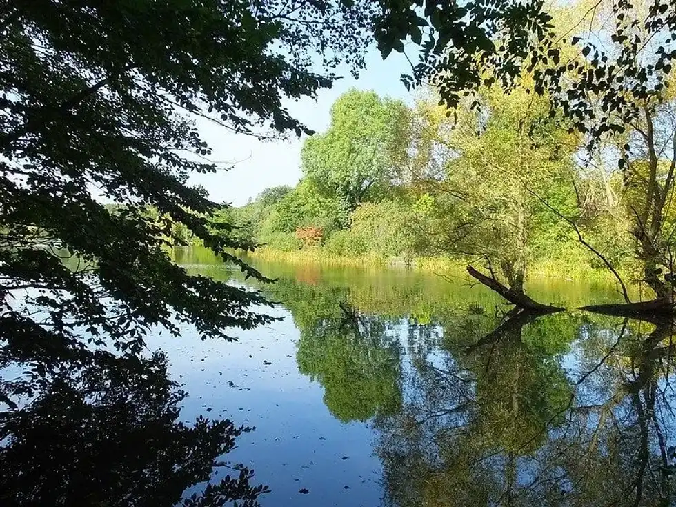 Trees framing the pretty lake.