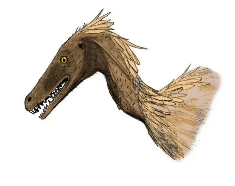 Tsaagan facts are about a dinosaur found in the Djadochta Formation.