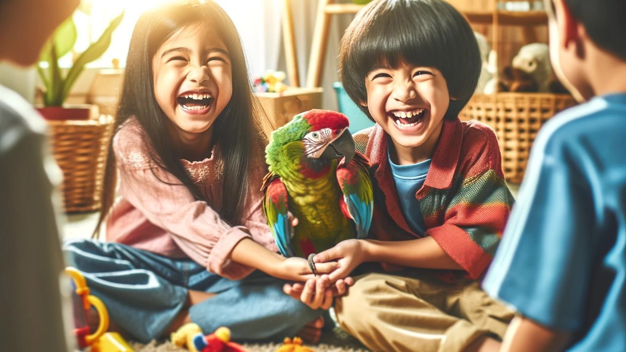Two children laugh and play with a colorful parrot, illustrating the humor in parrot jokes.