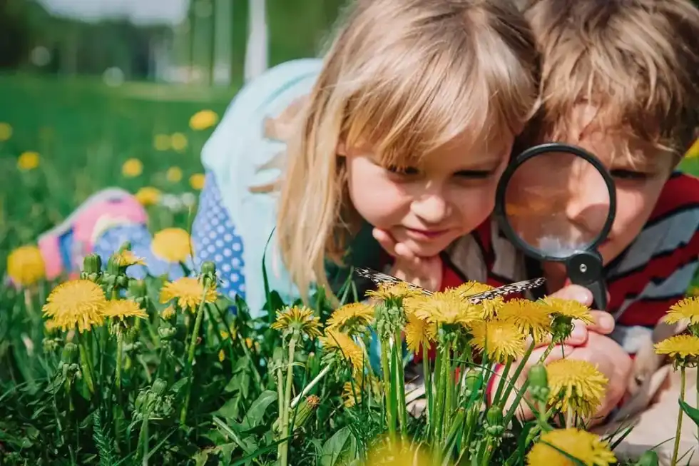 Two children looking at bugs in the grass.