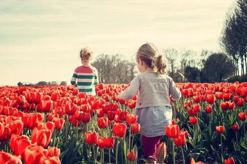 Two children walking through a vibrant field of red tulips, symbolizing the renewal and growth that are among the facts about spring.