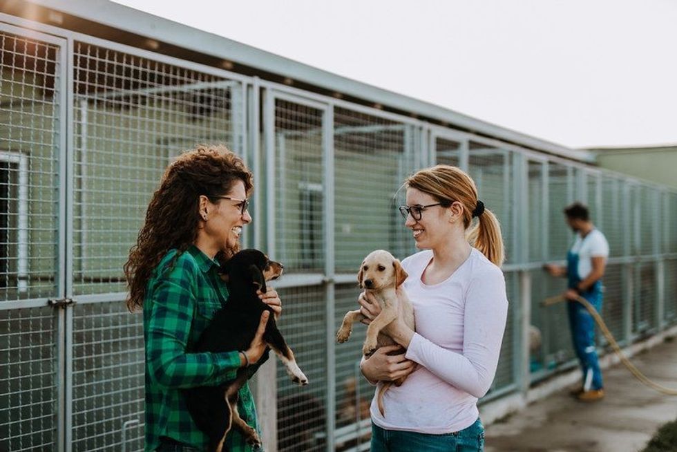 Two young adult women adopting beautiful dogs at animal shelter.
