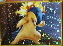 Typhlosion Pokemon card - Nicknames