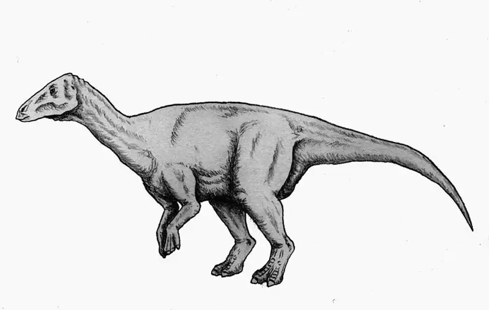 Unearth the secrets of prehistoric reptiles with the Tematosaurus facts.