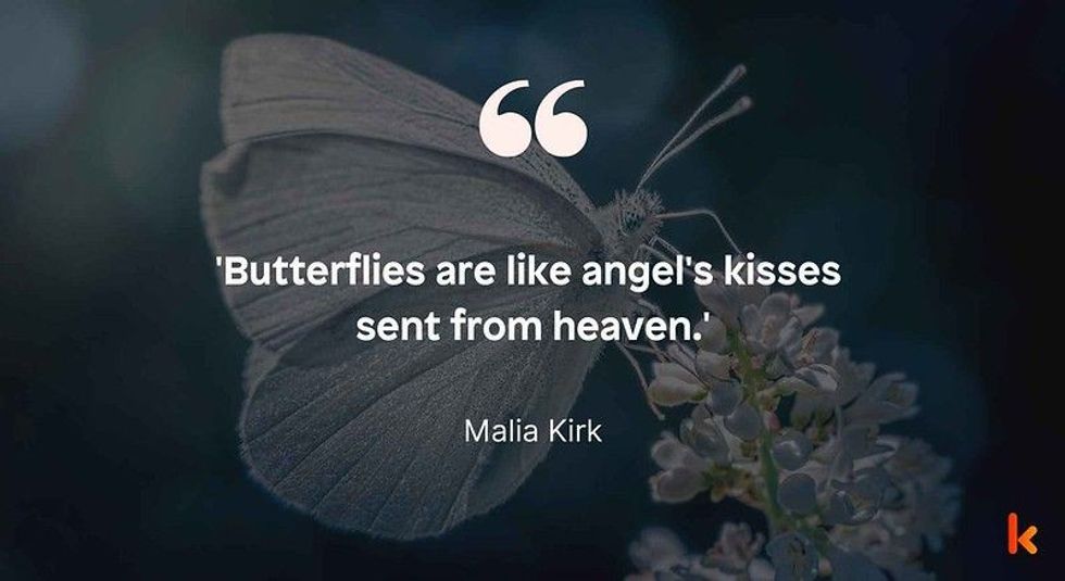 Unique Butterfly Quote by Malia Kirk