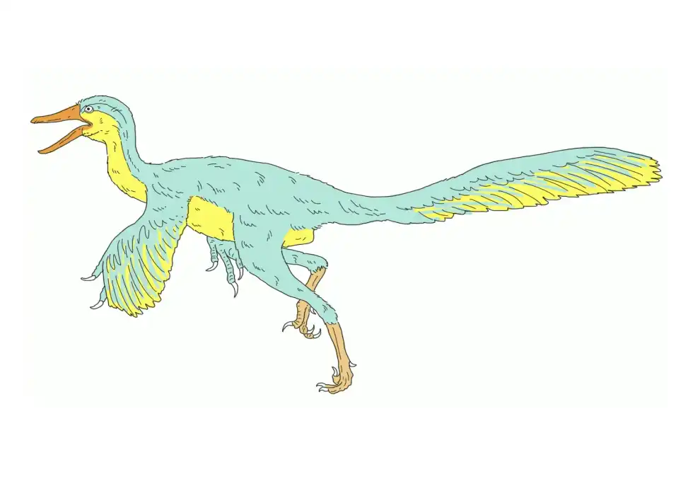 Urbacodon facts are interesting to read.
