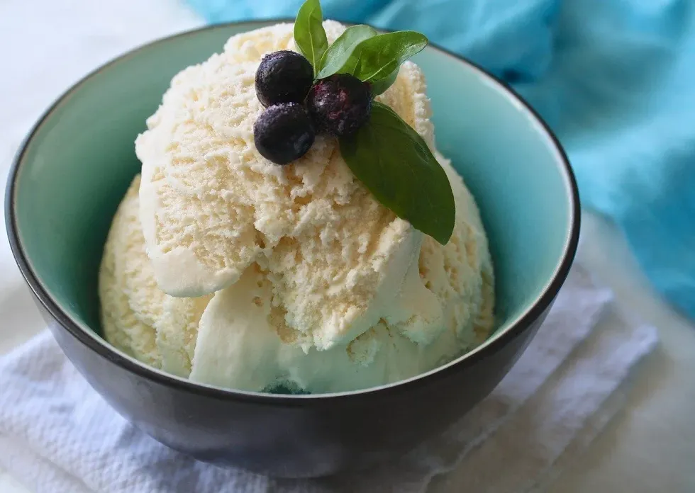 Vanilla ice cream nutrition facts include that vanilla ice cream contains vitamin D, which is good for health.