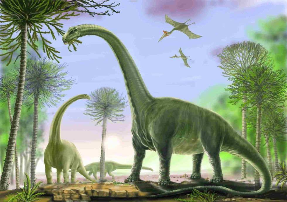 Venenosaurus was a gigantic sauropod dinosaur.