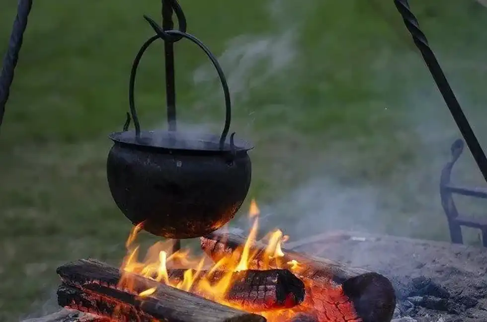 Viking food facts will help you understand what an average Viking ate.