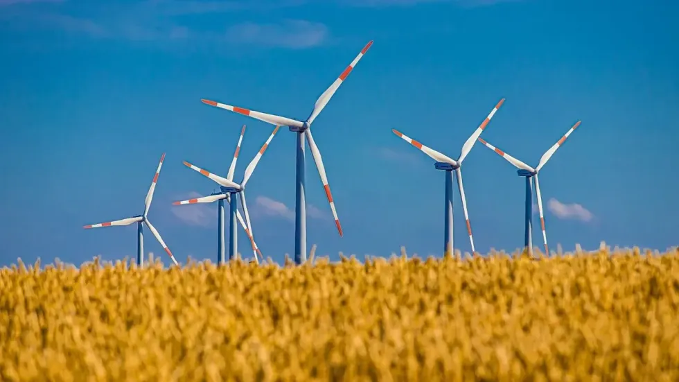 Visit a wind farm to mark Global Wind Day.