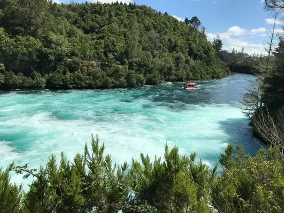 Waikato river facts explain that it is home to various plants and animal species.