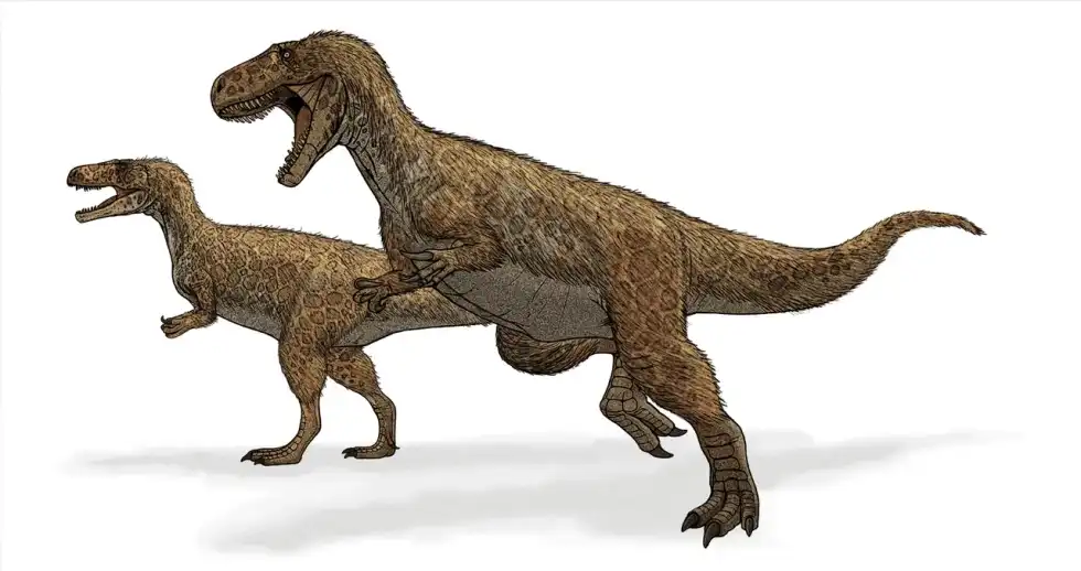 Walgettosuchus facts are great for kids.
