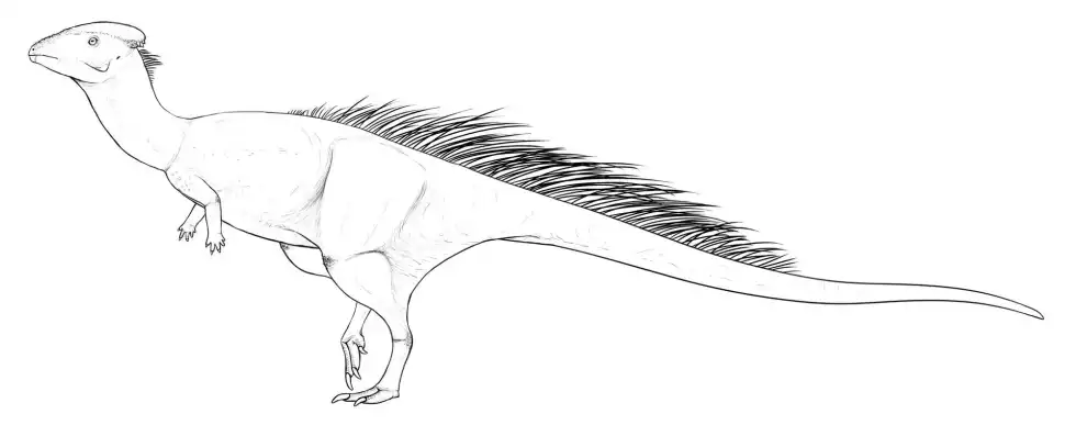 Wannanosaurus facts are interesting for people of all ages.