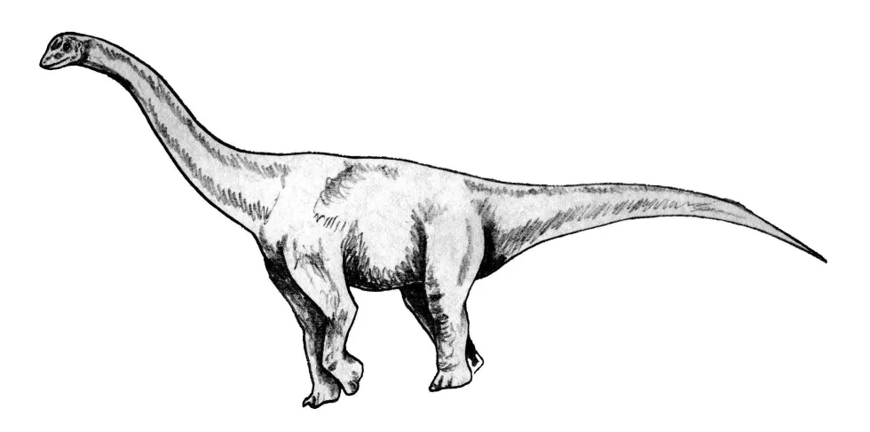 We are here to satisfy your search for amazing Barapasaurus facts