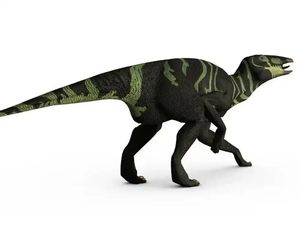 We have amazing Edmontosaurus facts kids will love!