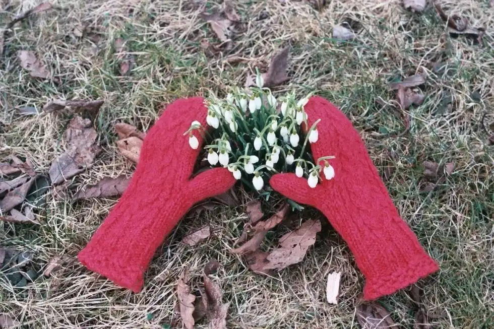 When hosting the Winter Olympics in 2010, Canada inspired winter sports across the country and initiated Red Mittens Day to show Canadian pride.