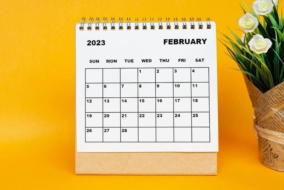White February 2023 calendar with potted plant.