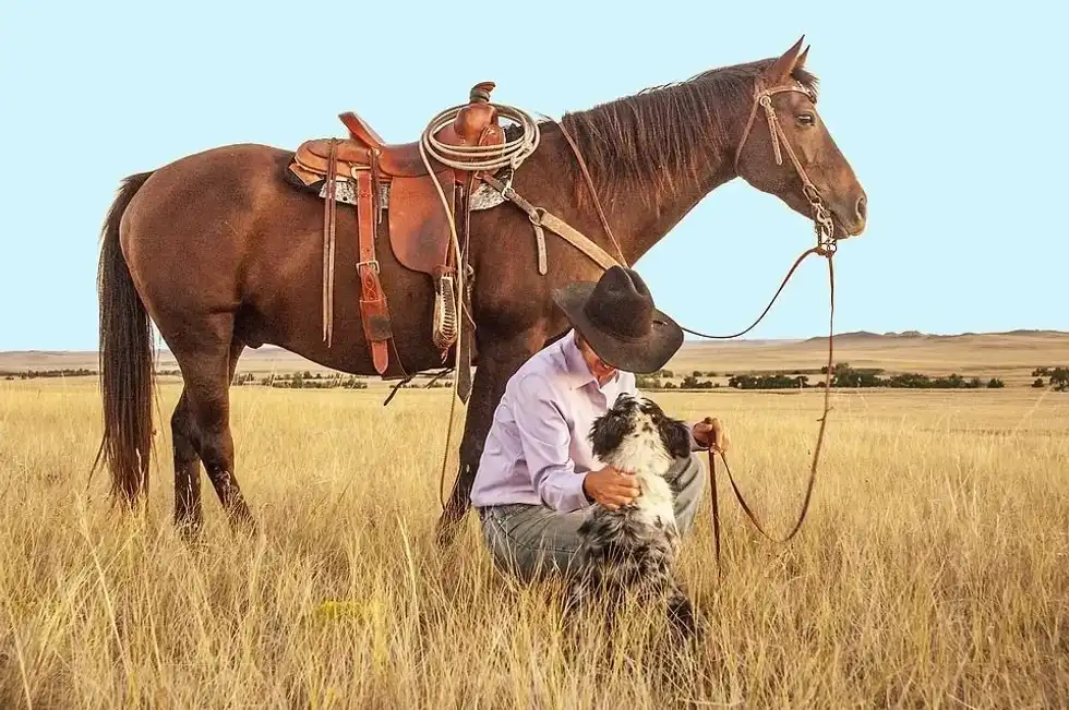 Wild west cowboy facts talk about the Gold Rush of California.